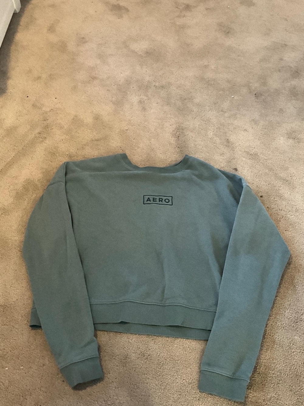 Aeropostale Logo Crew Cropped Sweatshirt